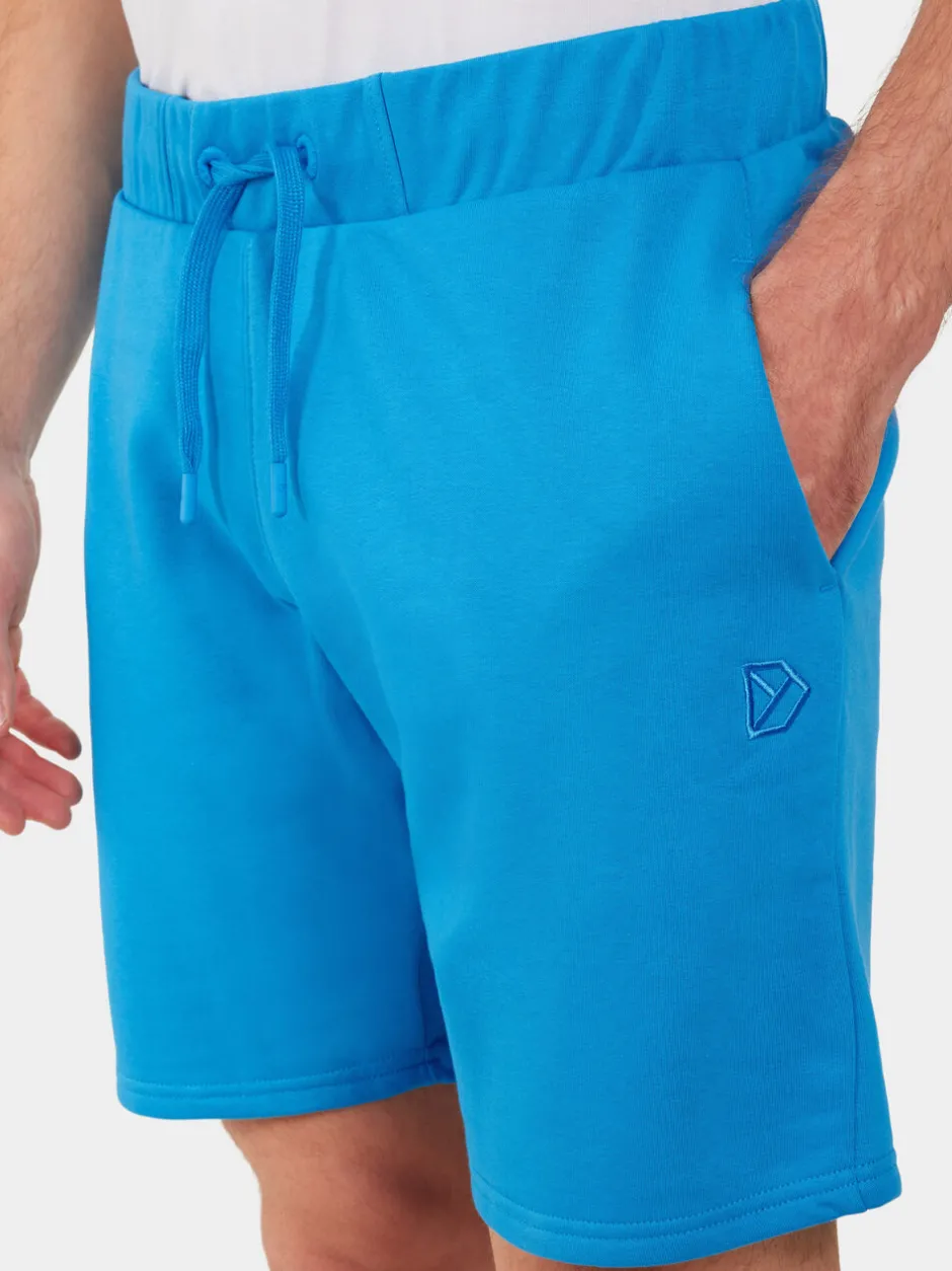 Didriksons Fejan Shorts- Shortsit