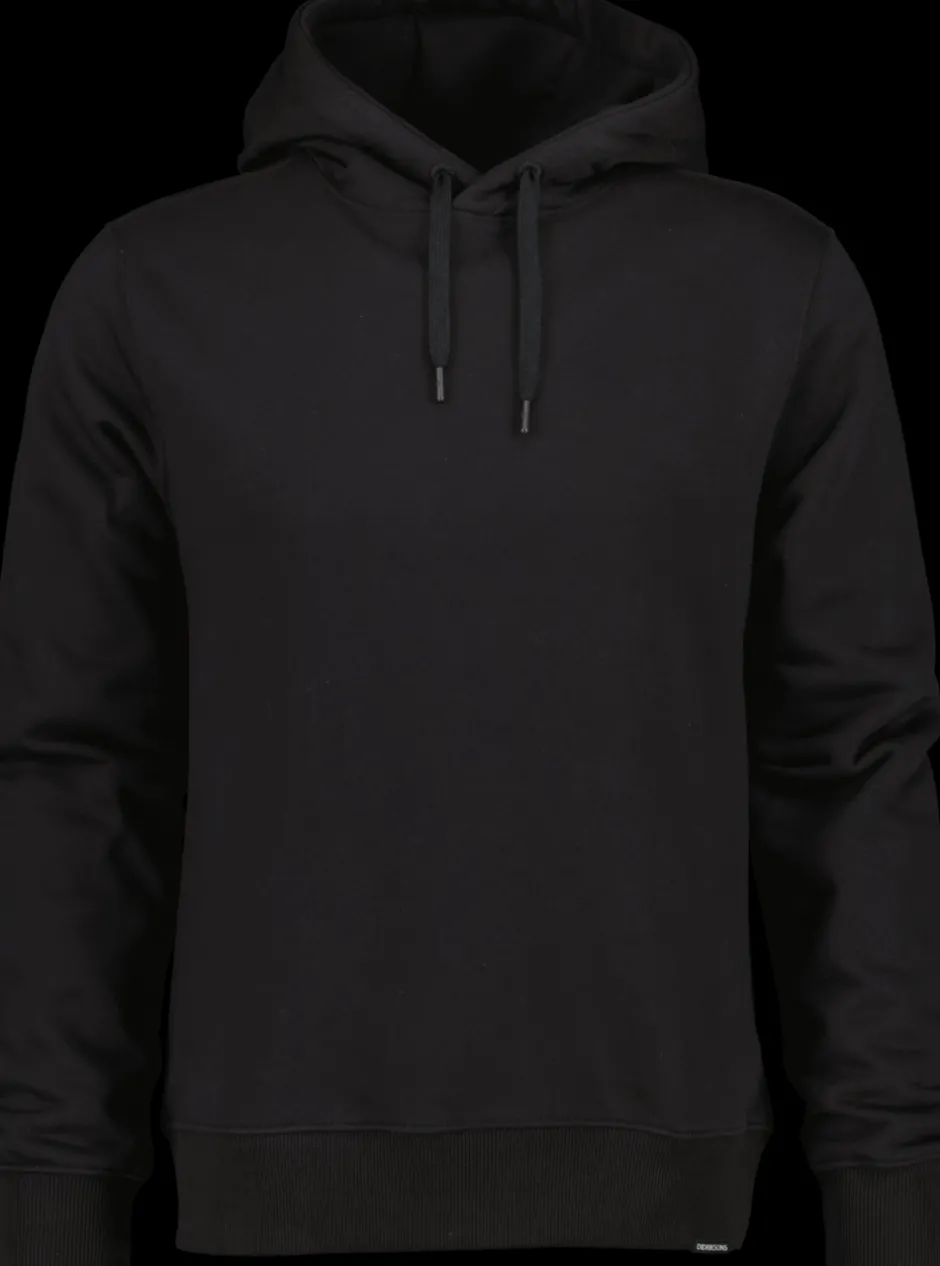 Didriksons Ven Men's Hoodie Landscape- Hoodies & Sweatshirts